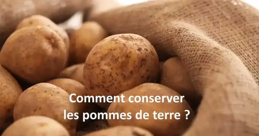 conserver les pommes de terre